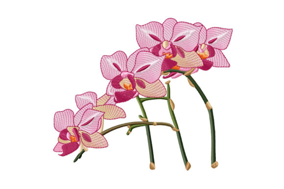 An Embroidered Pink Orchid: A Designer’s Real-World Review